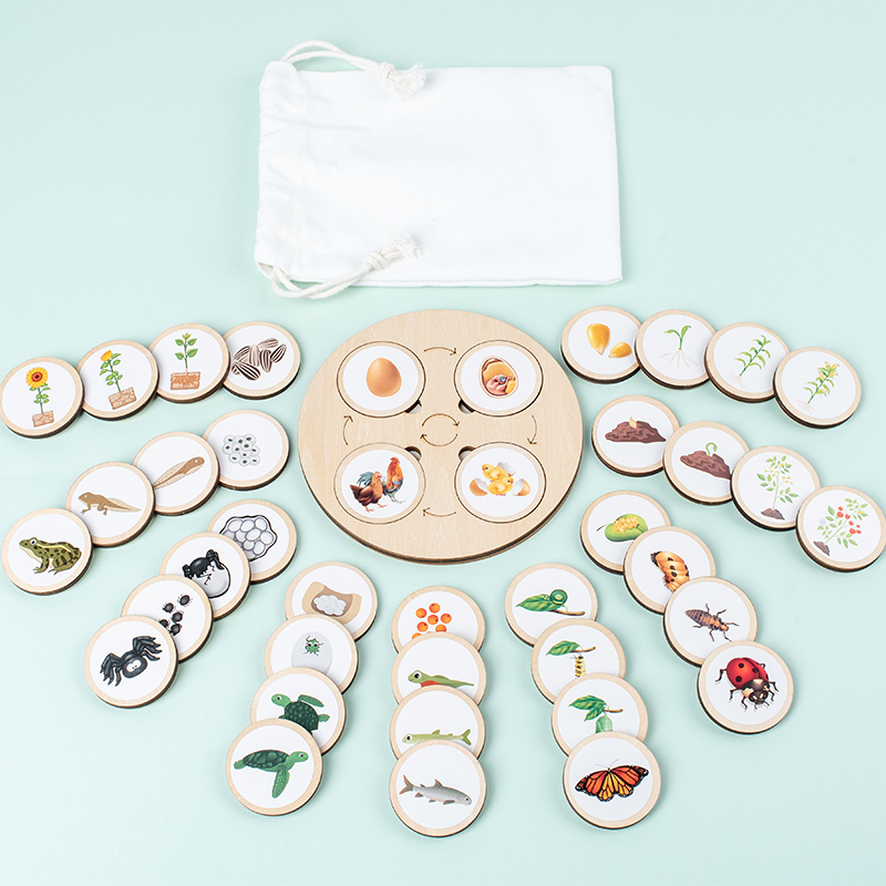 Science Nature - Planche de Cycle de vie Montessori,