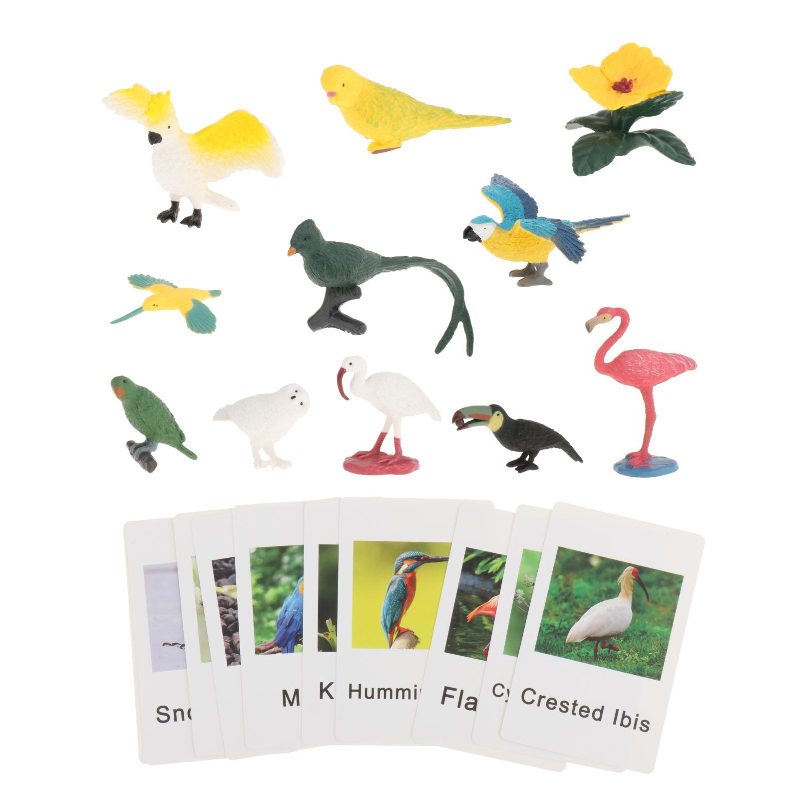 Figurines d'animaux Montessori - Science Nature avis et prix