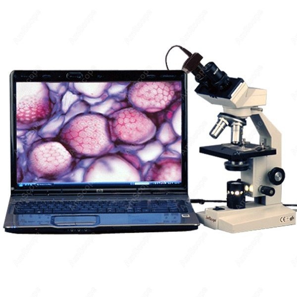 Microscope composé biologique  - Amscope Microscope Compound 40X-1000X avis et prix