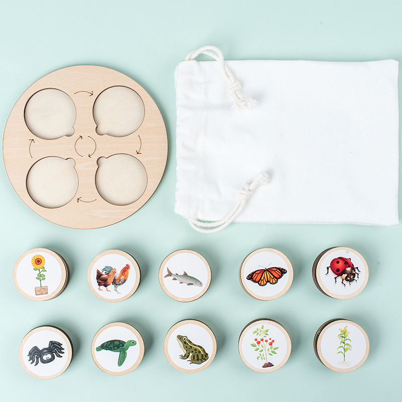 Planche de Cycle de vie Montes - Science Nature avis et prix